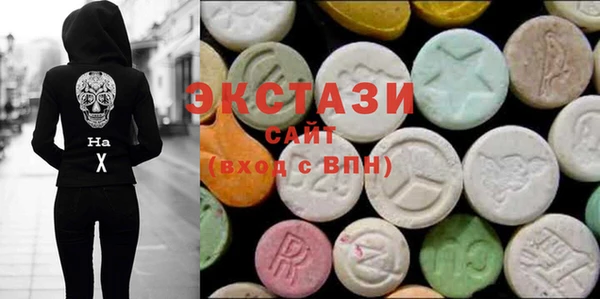 гашик Краснослободск