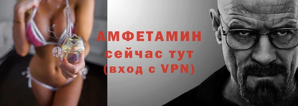 гашик Краснослободск