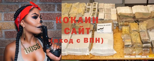гашик Краснослободск