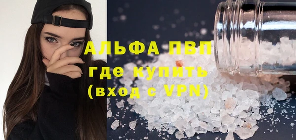 гашик Краснослободск