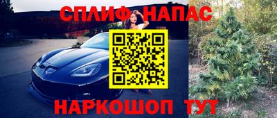 каннабис Гатчина