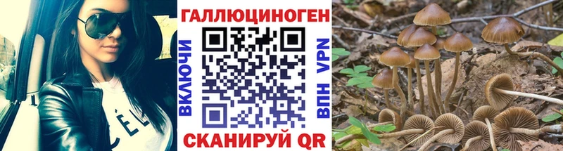 Псилоцибиновые грибы GOLDEN TEACHER  Кудымкар 