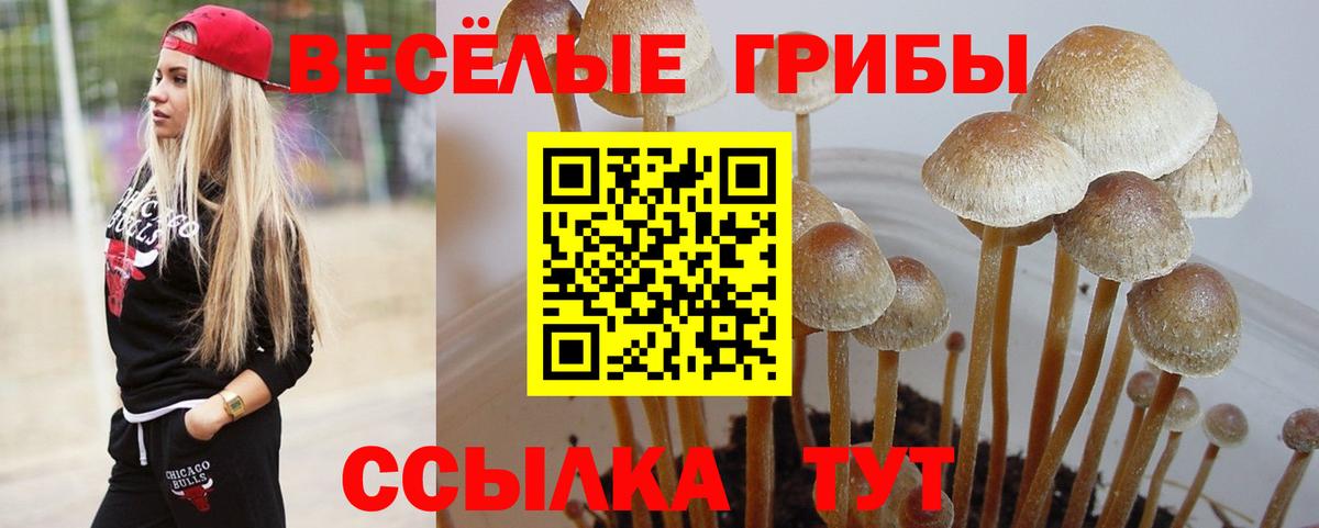 Псилоцибиновые грибы GOLDEN TEACHER  Вход с VPN  Псилоцибиновые грибы GOLDEN TEACHER  Кудымкар 